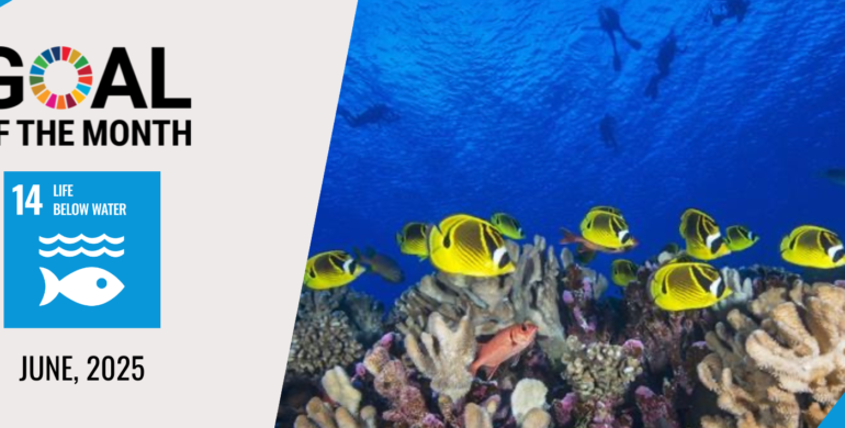 JUNE GOAL OF THE MONTH – Goal 14: Life below water